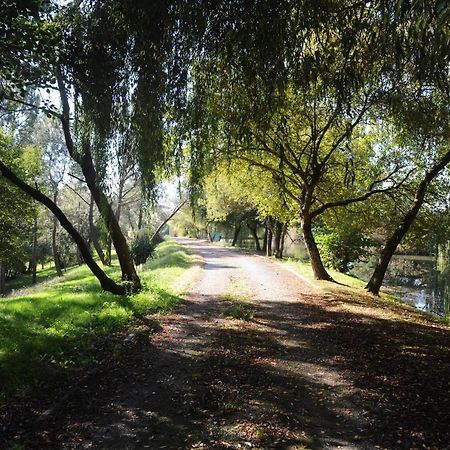 Willa La Marviniere Saint-Bonnet-sur-Gironde Zewnętrze zdjęcie
